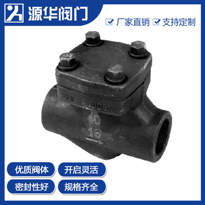 锻钢内螺纹/焊接止回阀