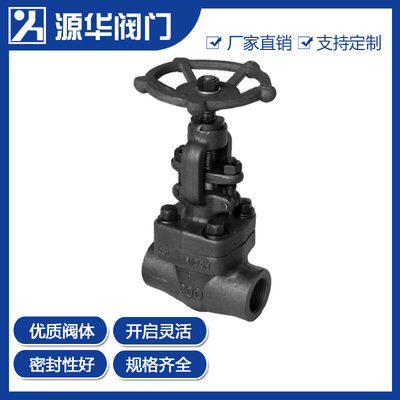 锻钢内螺/焊接截止阀