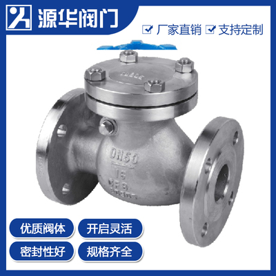 国标旋启式止回阀